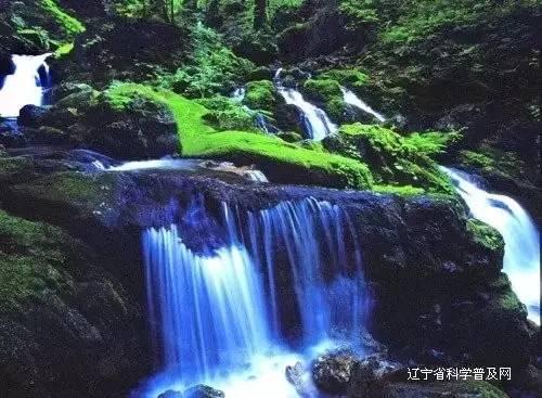 拯救可爱小怪